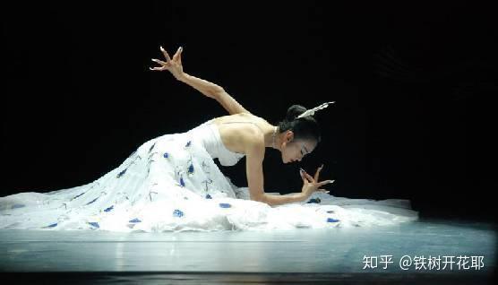 杨丽萍孔雀轻舞事件，岁月留痕引热议