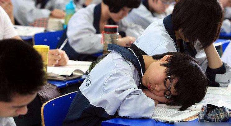 精心研究制造水泥预制机械产品 第491页