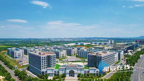宁乡市委最新消息观点深度论述