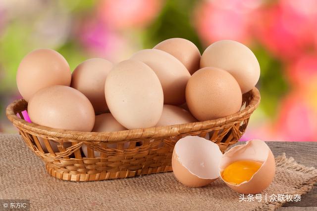 新鲜出炉！今日鸡蛋价格行情大揭秘📣🥚