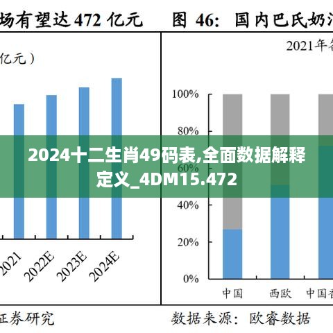 2024年12生肖49码图,数据获取方案_数字版20.975