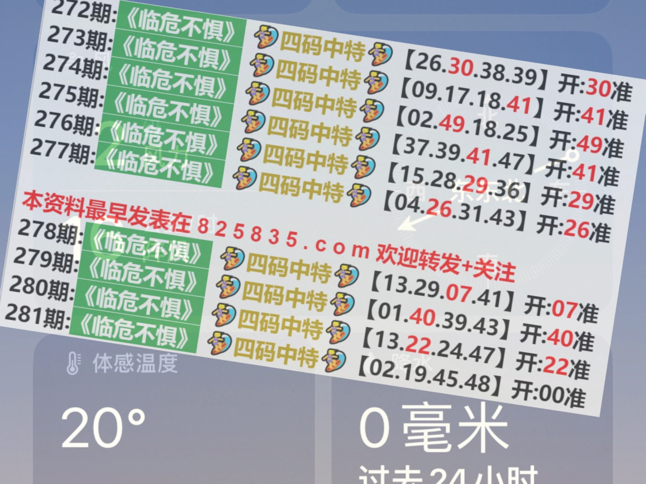 2024澳门天天开好彩大全54期,全身心数据指导枕_定向版17.294