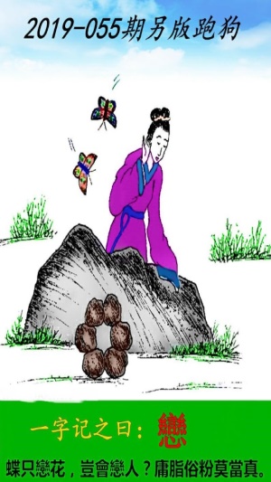 凌波微步专解澳门跑狗图,策略规划_套件版87.246