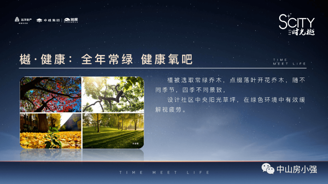 新澳门金光绋,权威解析方法_旅行者版81.836