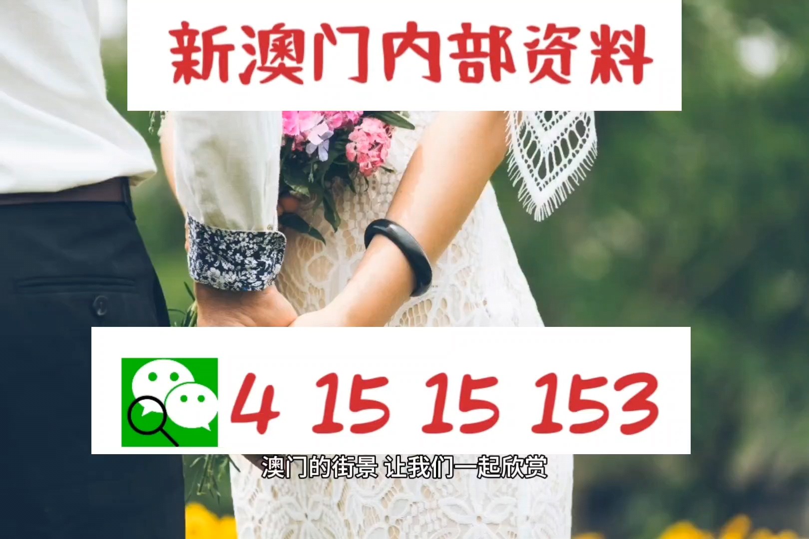 澳门四不像图片大全2024年,实际确凿数据解析统计_轻奢版82.907