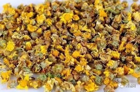 野菊花价格，历史背景、重要事件与地位探究
