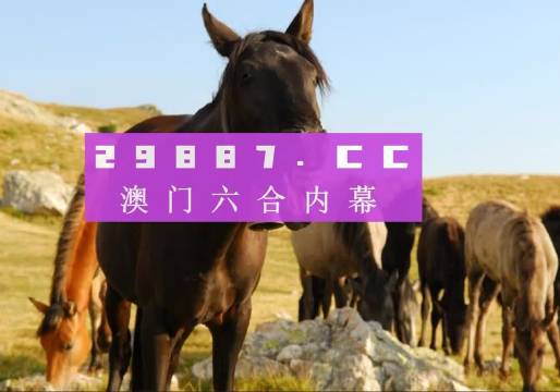 澳门管家婆正版资料免费公开,多元化诊断解决_习惯版99.652