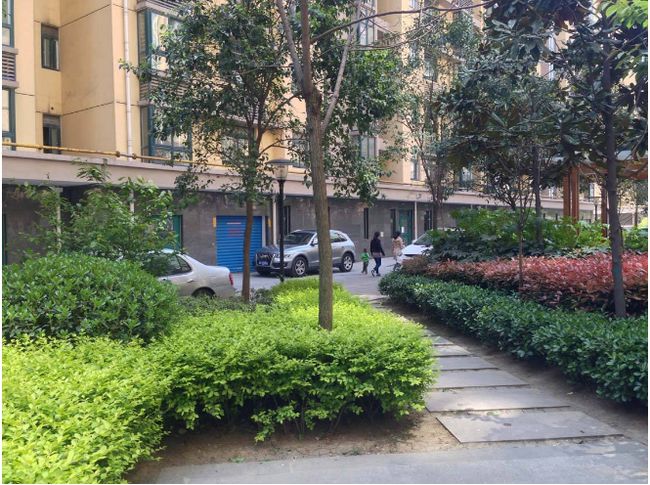 安徽房贷利率最新动态与巷弄深处的特色小店探索