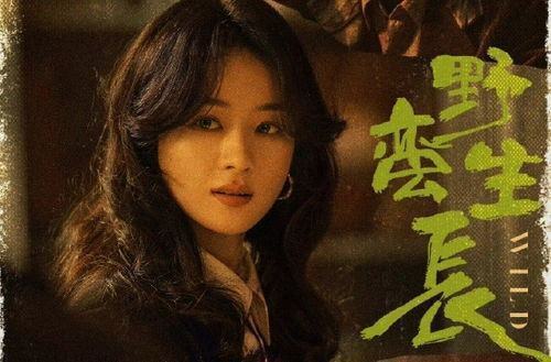 野蛮生长电影,野蛮生长电影制作全攻略，从入门到精通