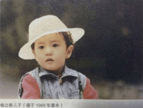 杨小杨演员，天赋与努力交织的演绎之路，塑造独特魅力的表演艺术之旅