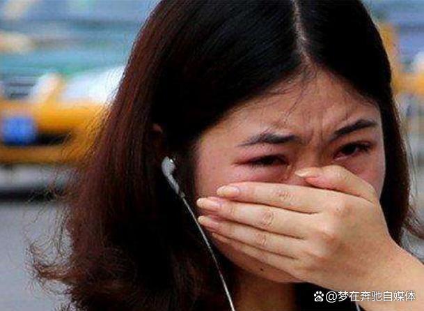 薄小莹喊冤事件最新进展与深度分析