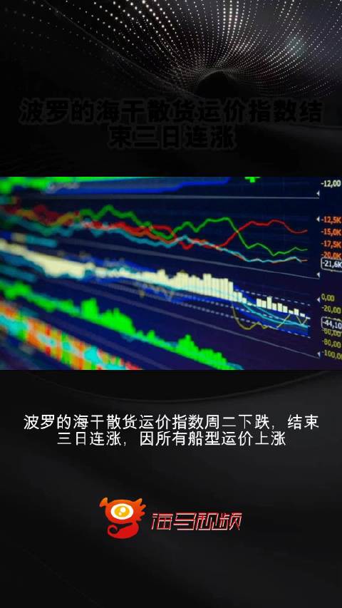 波罗的海干散货指数最新动态探析