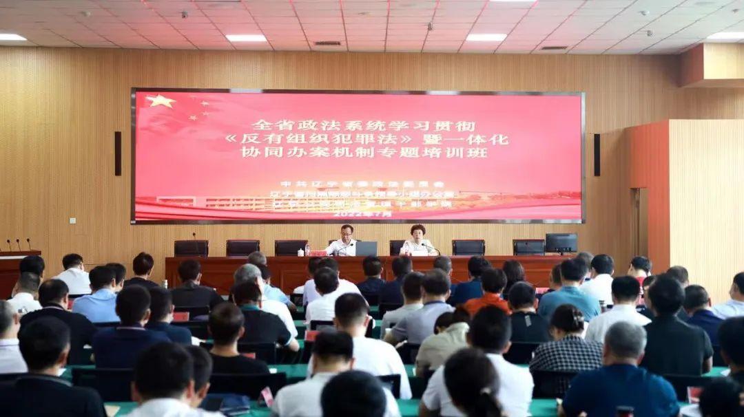 沈阳张俊民最新近展深度探讨与多维度分析