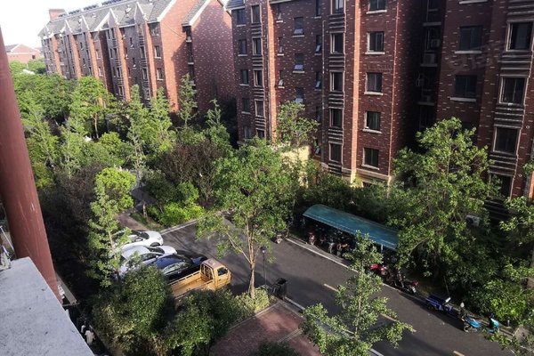 红豆清华苑最新动态，学习助力人生花园绽放