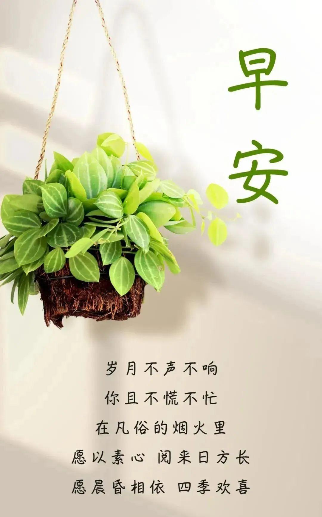 励志日常，小强的暖心故事与鼓舞人心的语句