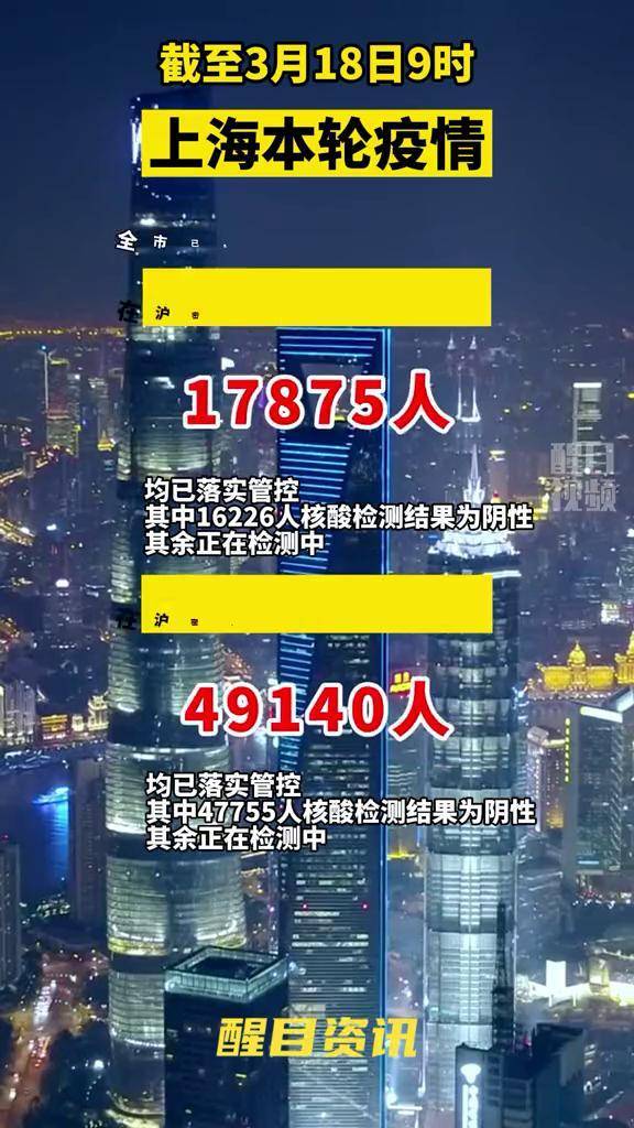 上海最新疫情视频解读与科普探讨，要点解读与探讨
