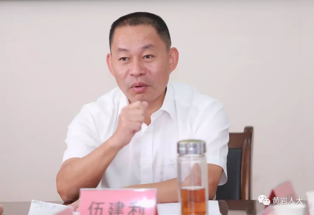 最新伍建利观点探讨，值得关注的分析与讨论