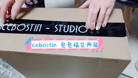 探索潮流玩具新纪元，最新bob盲盒大揭秘