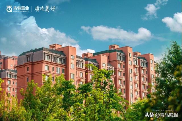 青特置业最新动态，引领房地产行业瞩目焦点