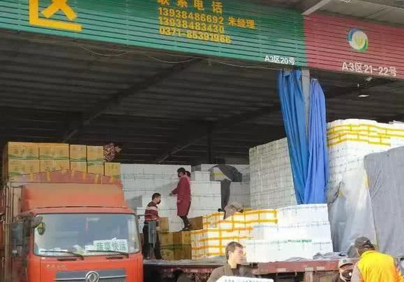 复工最新要求步骤指南，从初学者到进阶用户的全面指引
