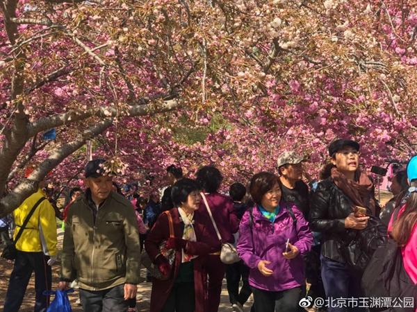 最新公园限流步骤指南与注意事项解析